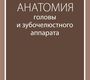 Анатомия головы и зубочелюстного аппарата. Козлов. 2025 г.
