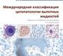 Международная классификация цитопатологии выпотных жидкостей. Чандра. 2024г.