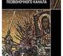 Травматические деформации позвоночного канала. Коновалов. 2025 г.