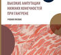 Высокие ампутации нижних конечностей при гангрене. Учебное пособие. Митиш. 2024г.