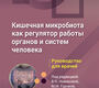 Кишечная микробиота как регулятор работы органов и систем человека. Новикова. 2026 г.