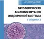 Патологическая анатомия органов эндокринной системы. Гипофиз. Лапшина. 2026 г.