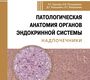 Патологическая анатомия органов эндокринной системы. Надпочечники. Урусова. 2026 г.