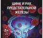 Цинк и рак предстательной железы. Зайчик. 2026 г.