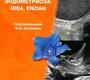  Ультразвуковая диагностика глубокого эндометриоза: IDEA, ENZIAN. Алтынник. 2024г.