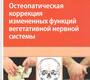 Остеопатическая коррекция измененных функций вегетативной нервной системы. Новосельцев. 2026 г.