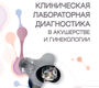 Клиническая лабораторная диагностика в акушерстве и гинекологии. Тетелютина. 2023 г.