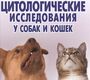 Цитологические исследования у собак и кошек. Справочное руководство. Данн Дж. 2016 г.