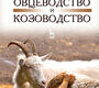 Овцеводство и козоводство. Учебник, 2-е изд., стер. Волков А. 2017 г.
