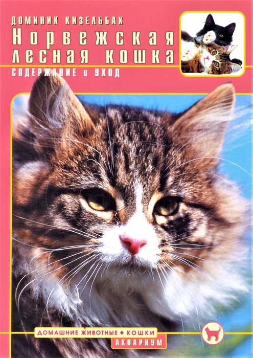 Норвежская лесная кошка. Содержание и уход. Кизельбах Доминик. 2009г.