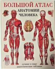 Большой атлас анатомии человека. Лучшие в мире анатомические таблицы. Твёрдый. 2021г.